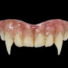 Trick Or Treat Studios Hammer Horror - Vampire Bride Teeth