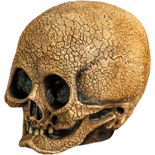 Trick Or Treat Studios Illusive Concepts - Cranial Skull Mask