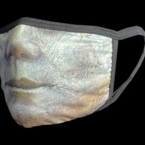 Trick Or Treat Studios PPE Mask - Halloween (2018) - Michael Myers