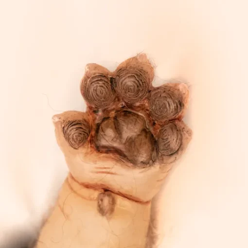 Trick Or Treat Studios WerePups - Toby